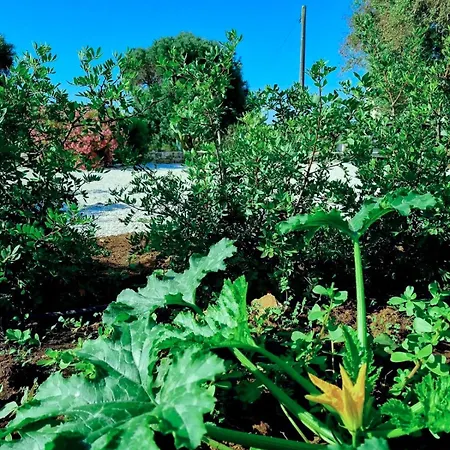 Villa Le Lamie Di Ostuni -typical In Puglia San Michele Salentino