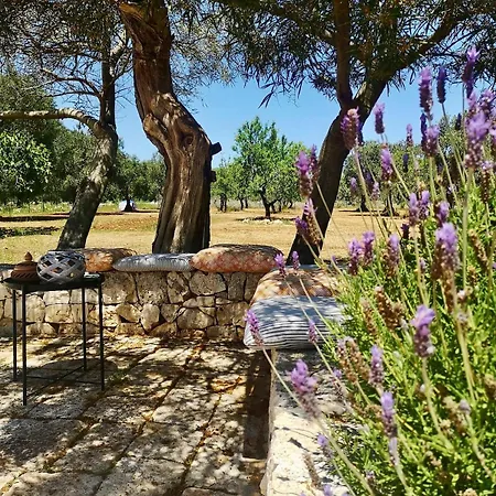 Le Lamie Di Ostuni -typical In Puglia Villa