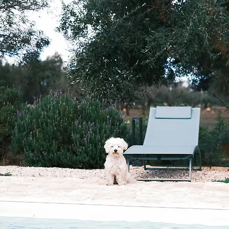 Le Lamie Di Ostuni -typical In Puglia Villa
