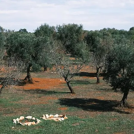 Le Lamie Di Ostuni -typical In Puglia Villa *