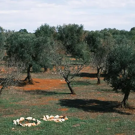Le Lamie Di Ostuni -typical In Puglia Villa San Michele Salentino